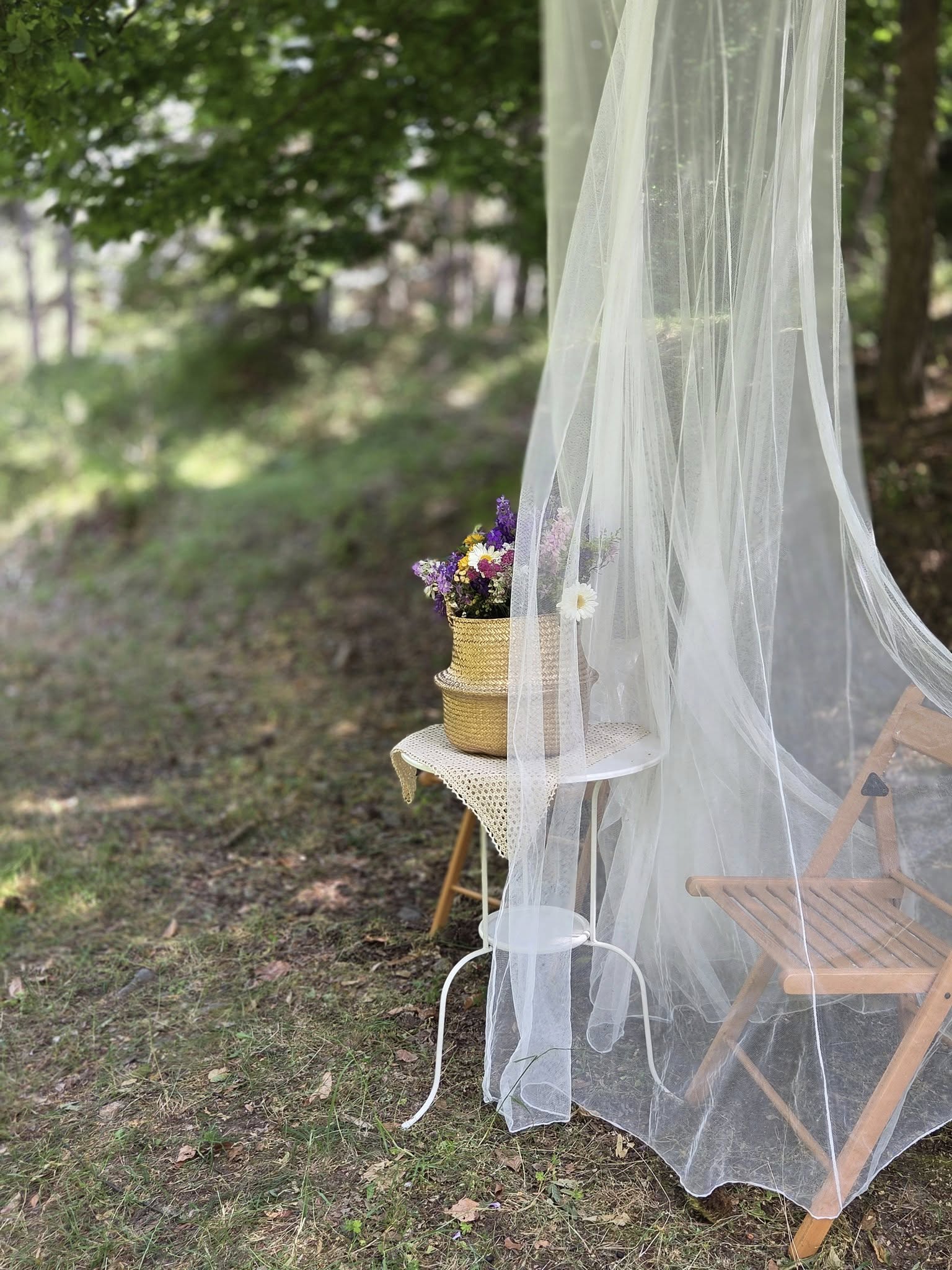 Suntem flori sălbatice - 5