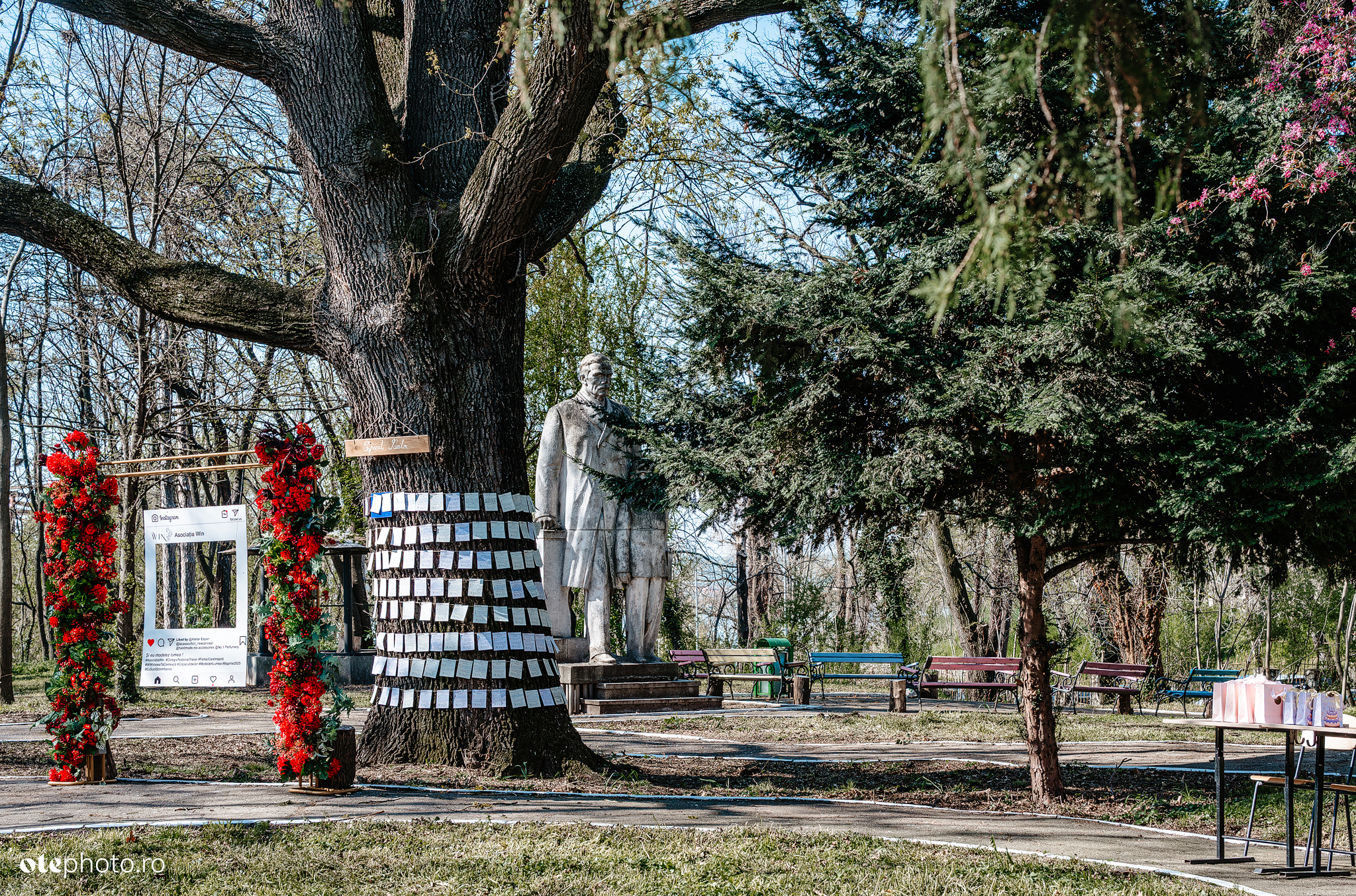 Asociația W.I.N. — comunitate de femei